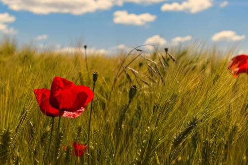 Horaires d'été